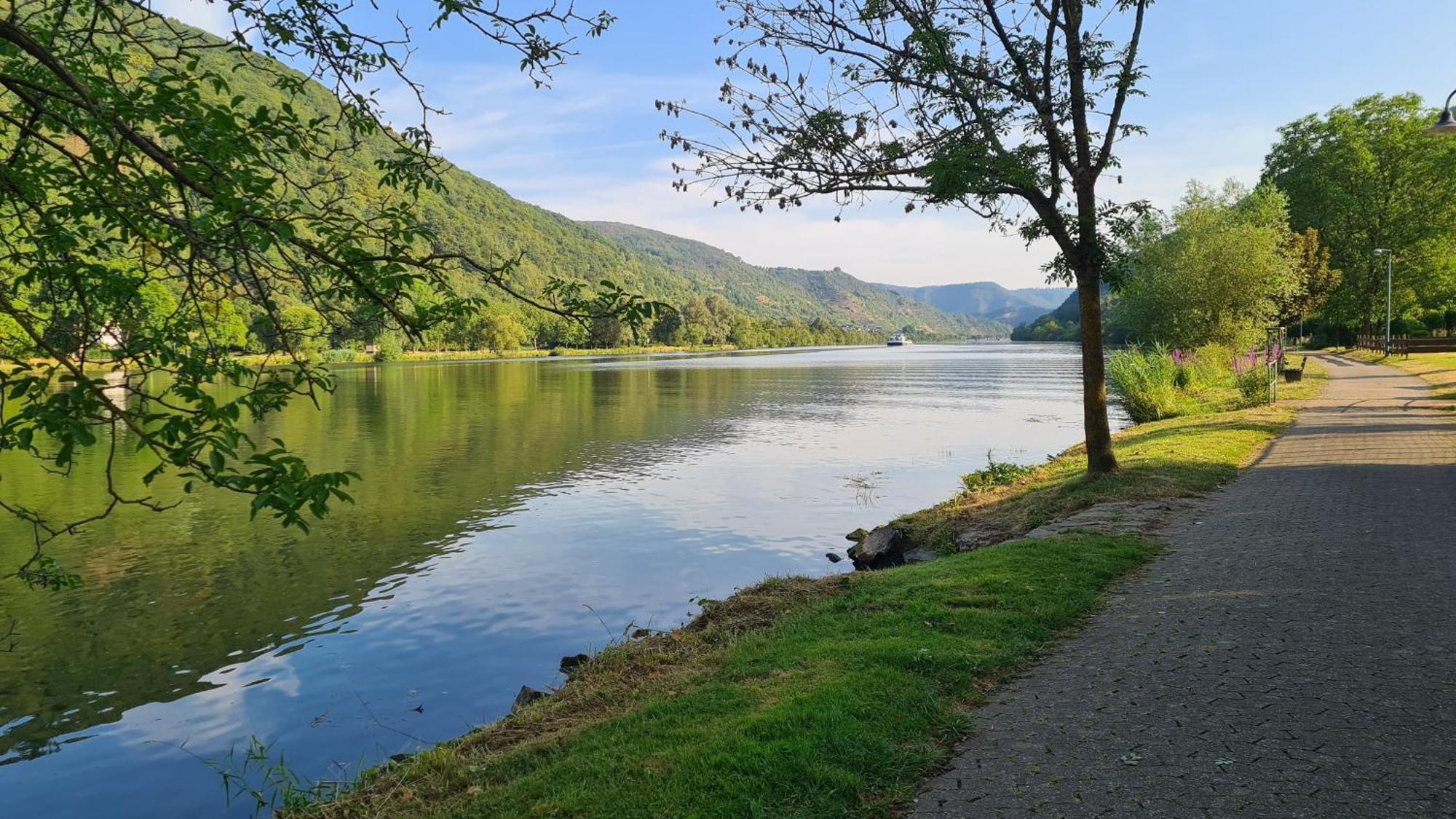 ブライMoselperle- Urlaub Im Historischen Fachwerkhaeuschenアパートメント エクステリア 写真